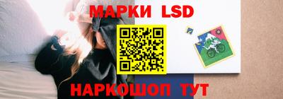гидропоника Дубна