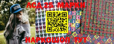 гидропоника Дубна