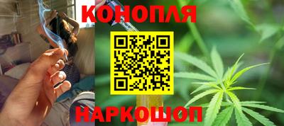 гидропоника Дубна