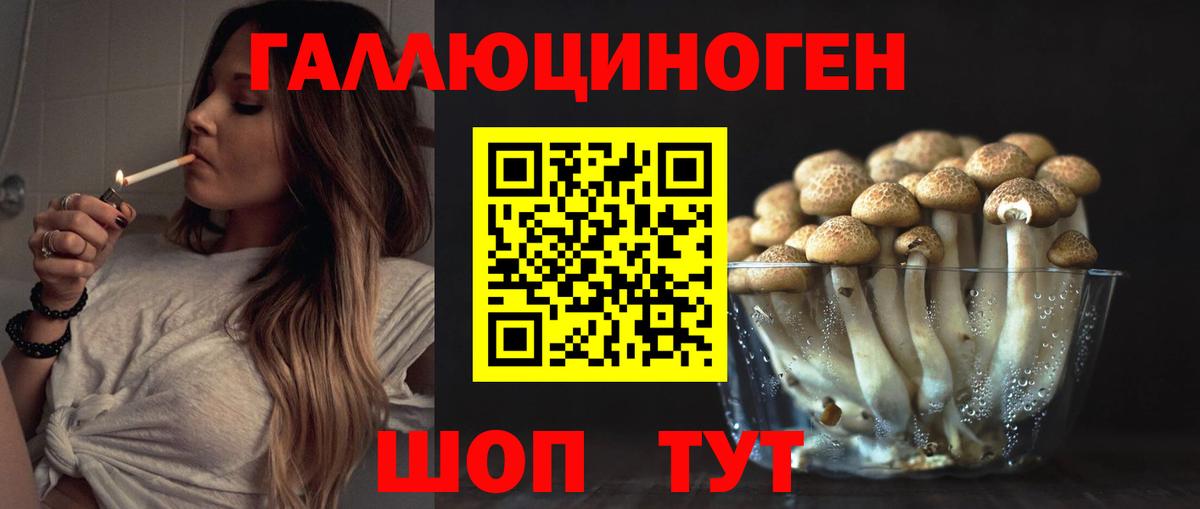 Псилоцибиновые грибы MAGIC MUSHROOMS  Галлюциногенные грибы Magic Shrooms  Отрадный  Вход с VPN 